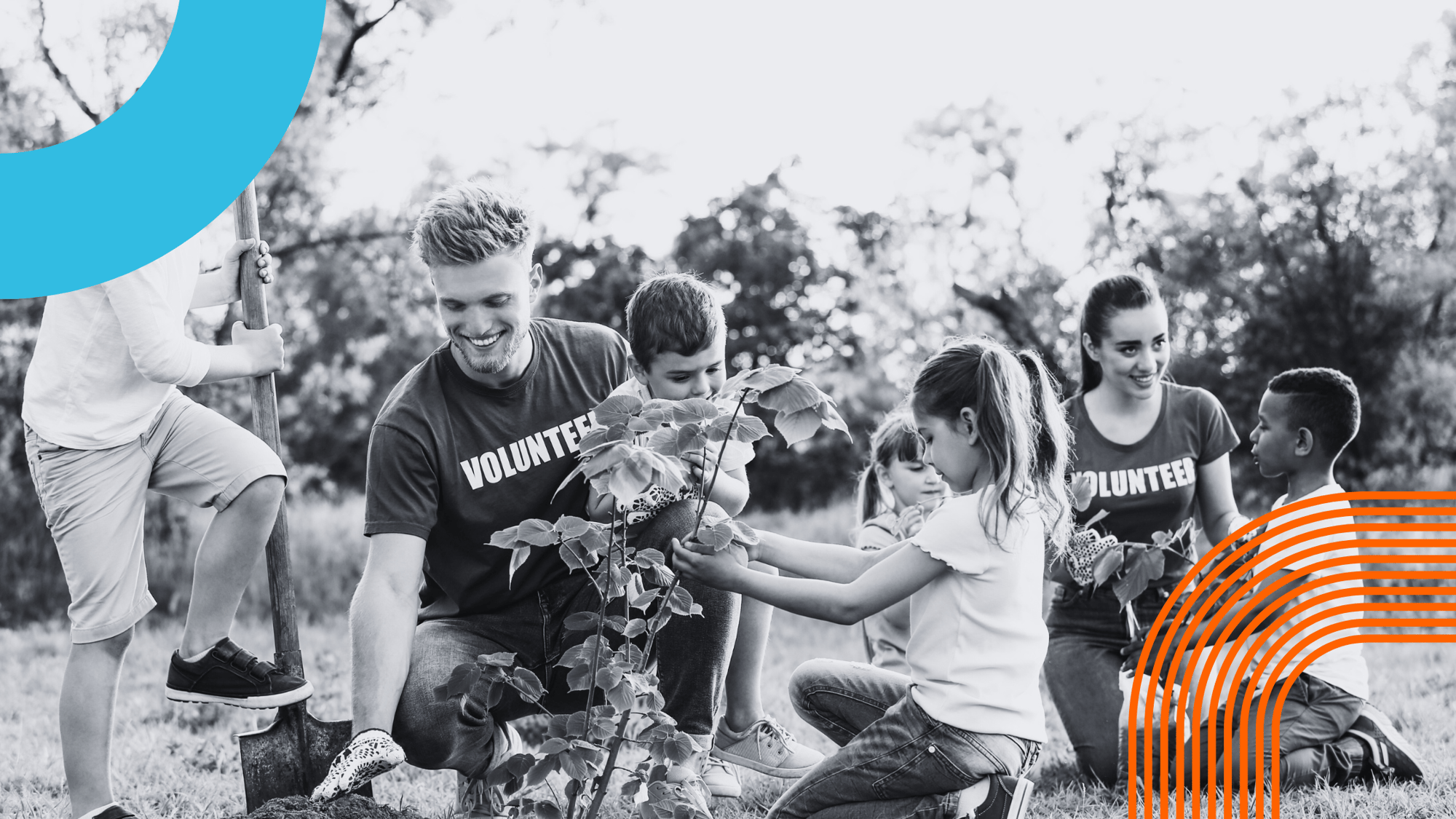 volunteer planting